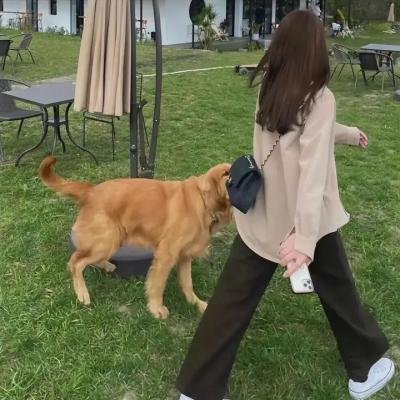 我们的新生活